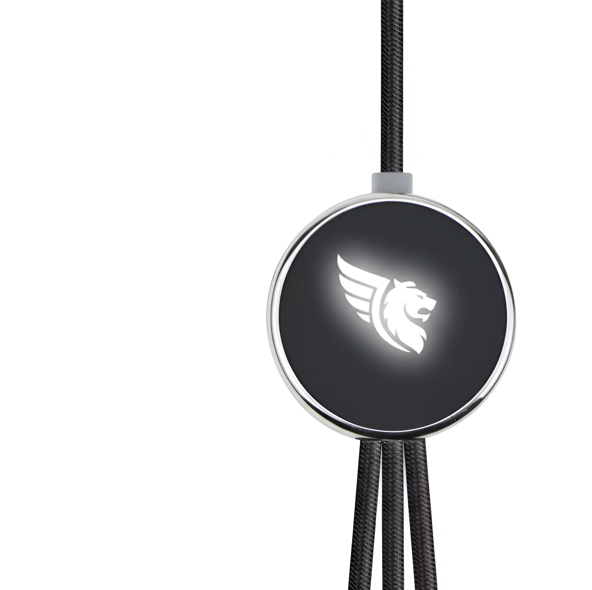 LightUp Logo Charging Cable