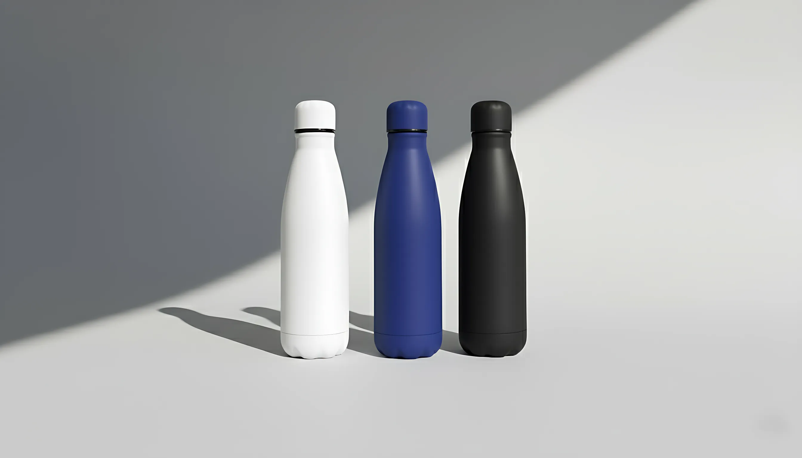 Stainless Steel Water Bottle