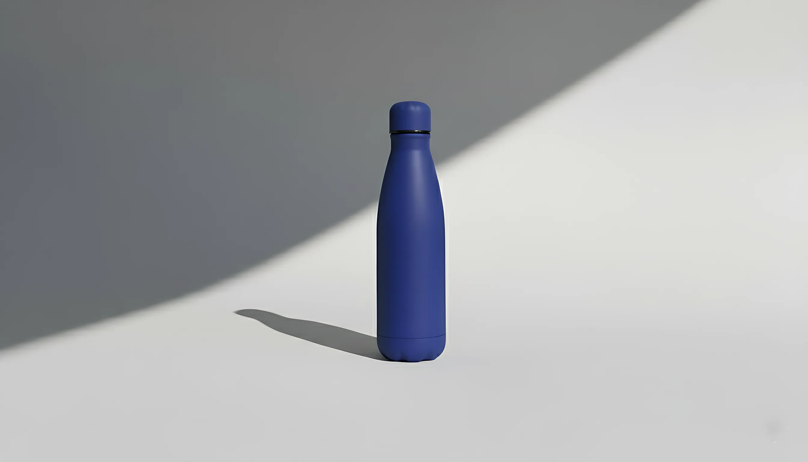 Stainless Steel Water Bottle