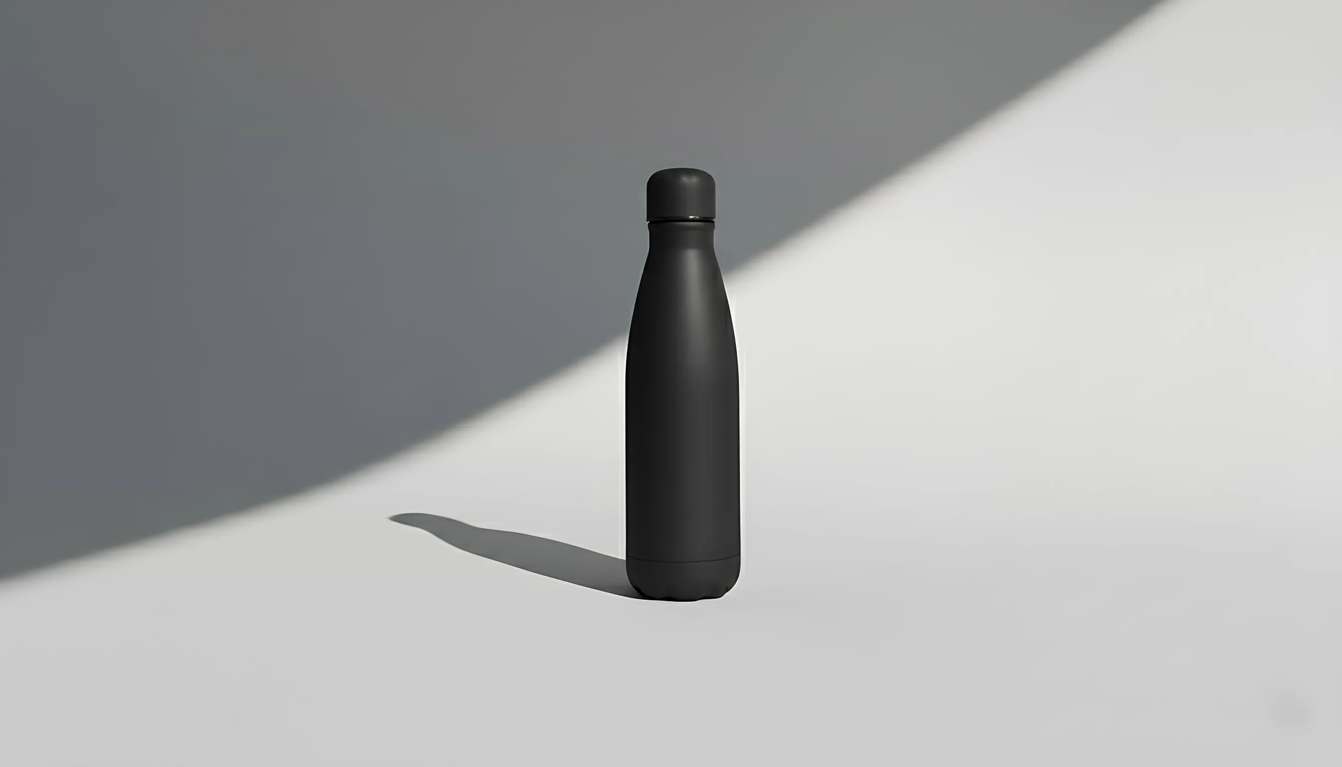 Stainless Steel Water Bottle